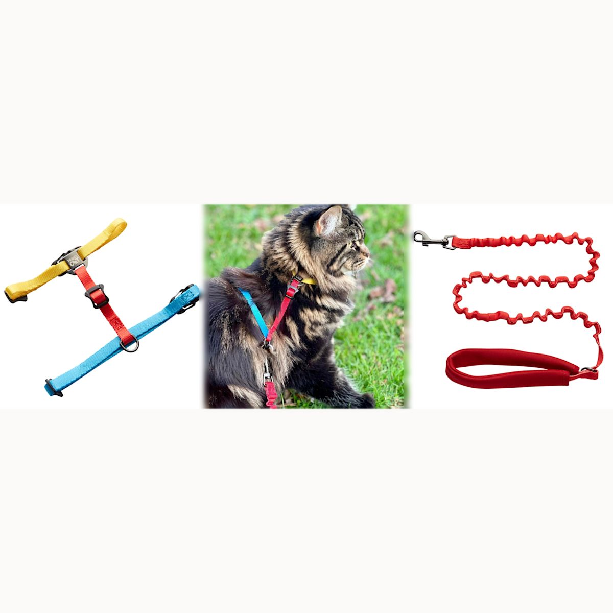 "The Day Tripper" Adjustable HStyle Cat Harness & Bungee Leash
